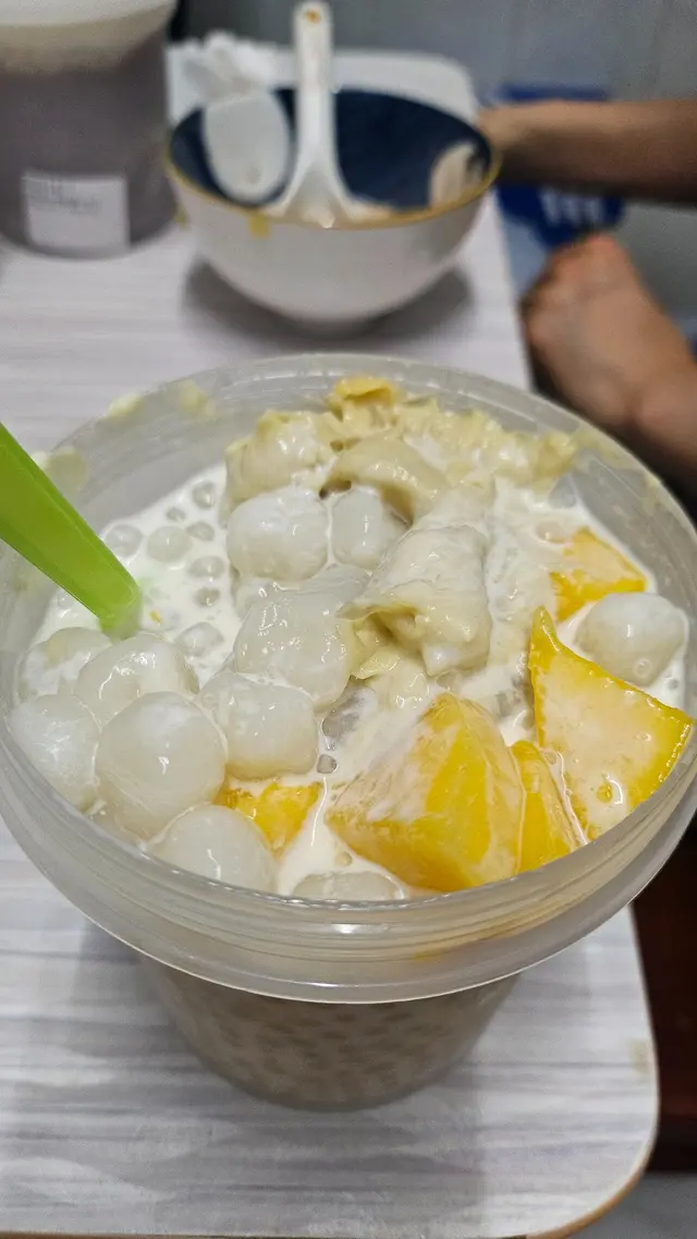 D24榴槤芒西椰椰