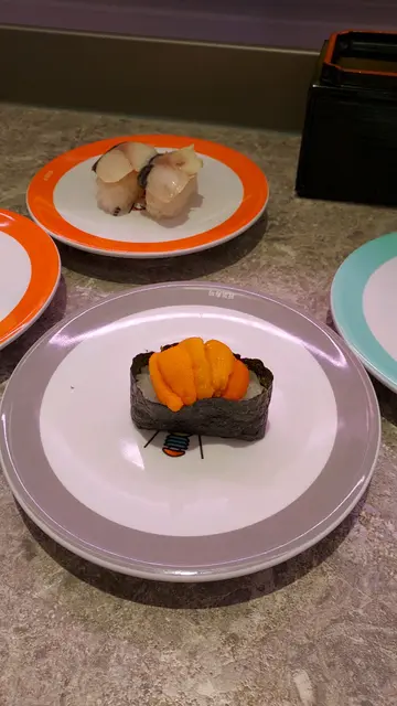 马粪海胆