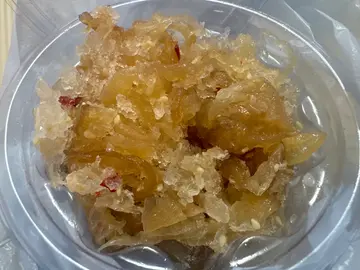 海蜇