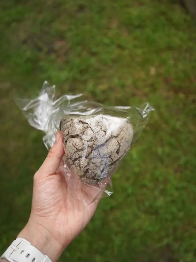 黑芝麻爆漿三角菠蘿包