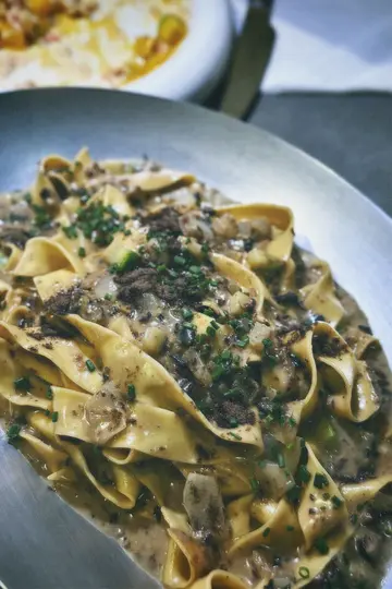 云南牛肝菌宽条面