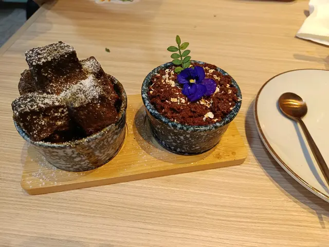 香喷喷热烘烘的布甸，外脆内软，雪糕够冻够甜，巧克力香脆，趁以小蓝花，盆栽佈置，色香味俱全！可惜的是要等很久很久，今次由叫起至上枱要30分钟以上！