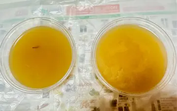 送嘅例湯