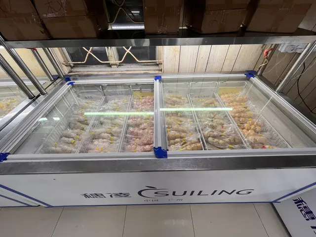 多款丸類