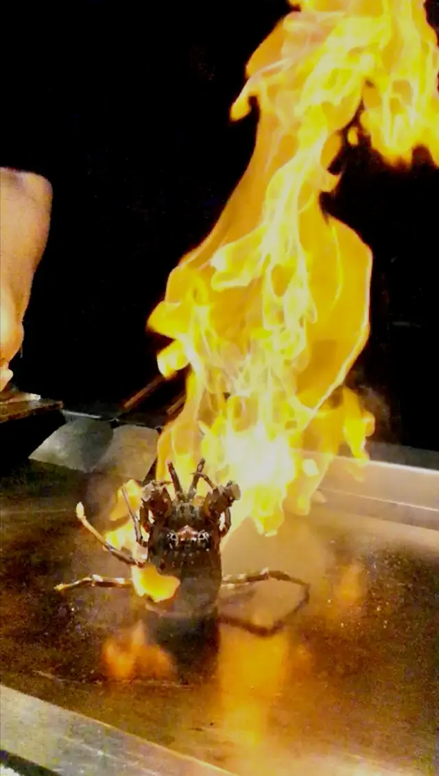 火焰龍蝦頭表演