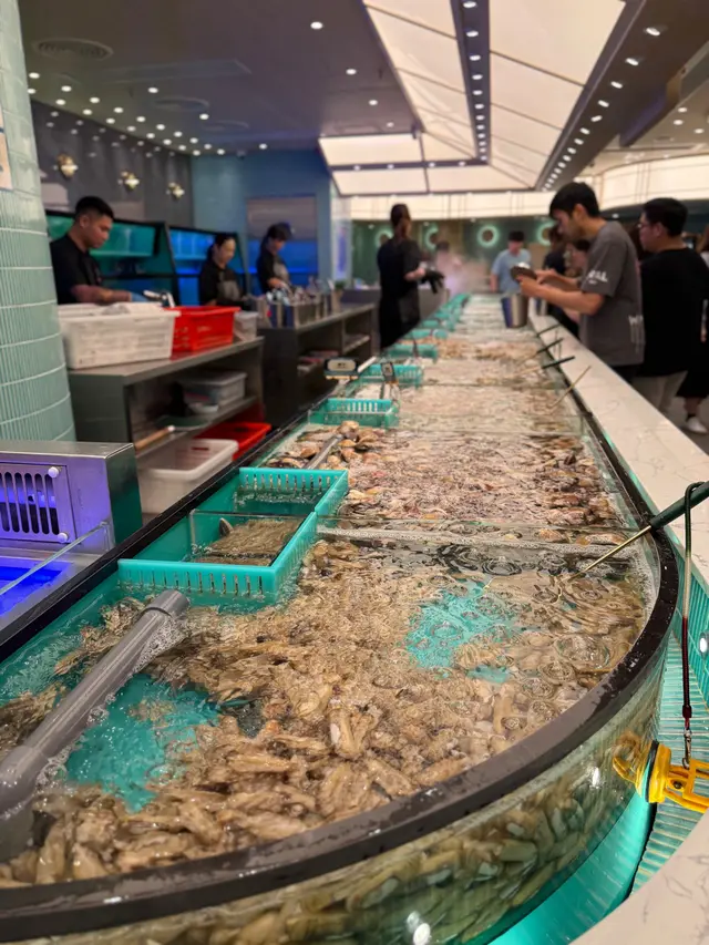 超大海鮮魚缸,新鮮海鮮源源不絕供應