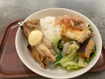 扬出豆腐+西京烧鸡肉+旬之野菜饭