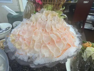 象拔蚌