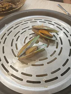 大西洋野生青口