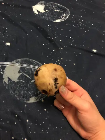 芝麻味麻糬波波