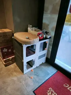 #香港美食 