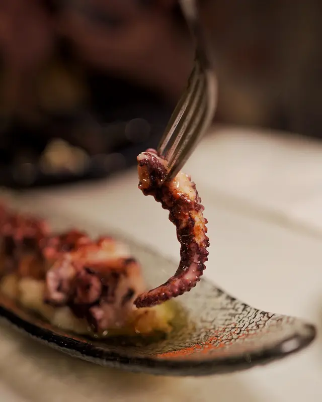 𝘖𝘤𝘵𝘰𝘱𝘶𝘴 ‘𝘎𝘢𝘭𝘭𝘦𝘨𝘢’ 𝘚𝘵𝘺𝘭𝘦