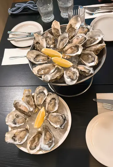 Oysters