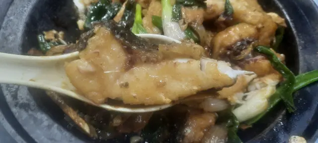 薑蔥魚腩煲