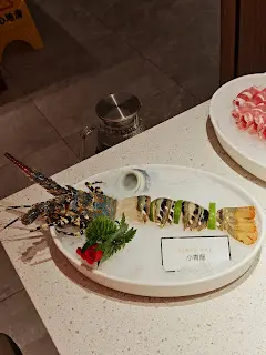 小青龍