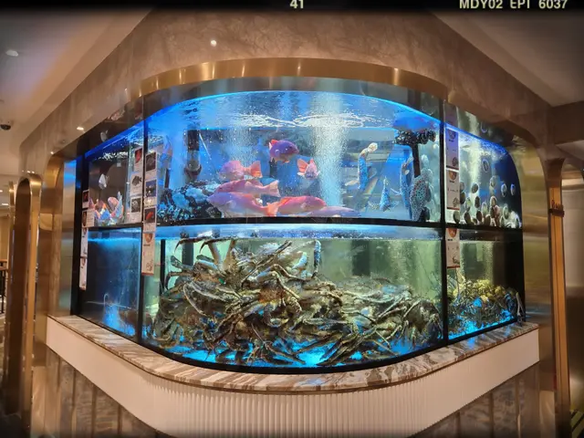 魚缸