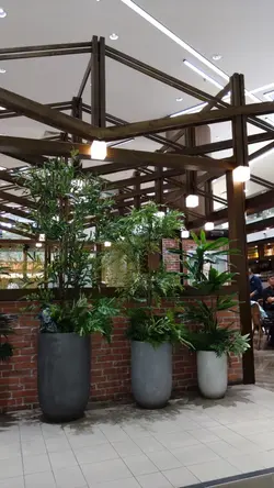 餐廳環境吸引