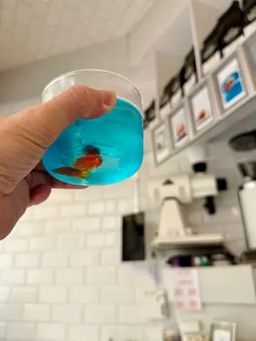 小金鱼