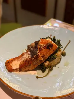 Grilled salmon