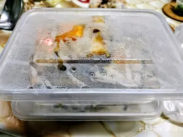 咸蛋蒸肉餅(外賣六件)