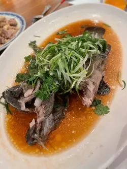 清蒸原條大海班原隻