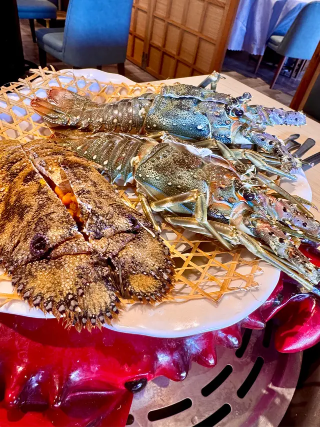 澳洲龍蝦 🦞 野生琵琶龍蝦