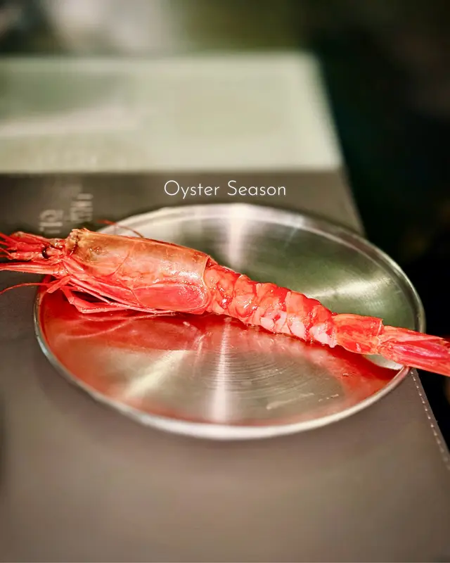 西班牙紅蝦 Carabinero