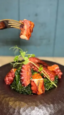Pan seared Octopus 香煎章魚鬚