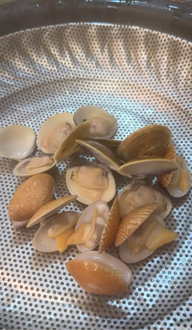 蟶子