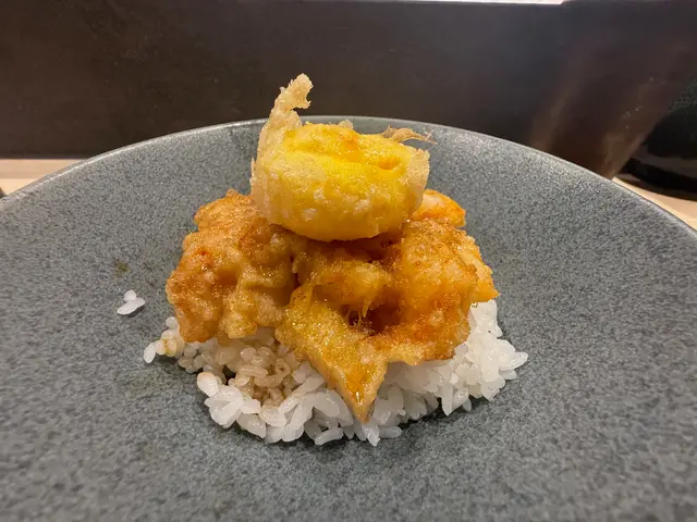 天婦羅飯