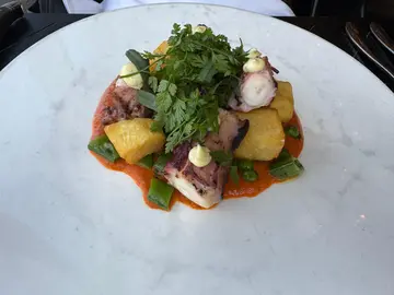 Grilled Octopus