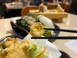 北海道白象拔蚌