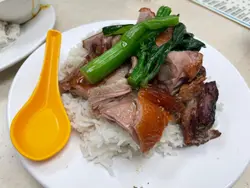掛爐燒鴨飯（碟） 