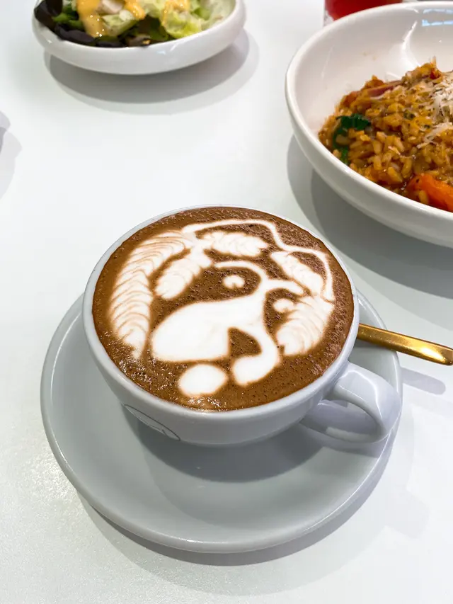 薄荷朱古力ᴍᴏᴄʜᴀ