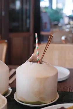 𝐅𝐫𝐞𝐬𝐡 𝐘𝐨𝐮𝐧𝐠 𝐂𝐨𝐜𝐨𝐧𝐮𝐭