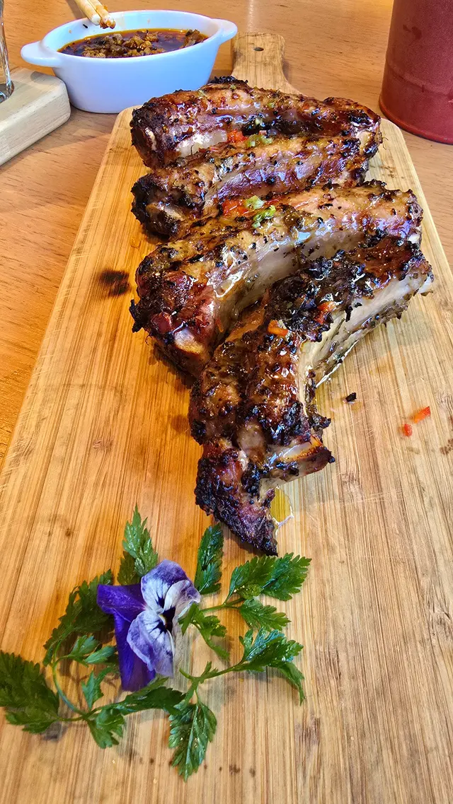 西班牙橡果黑毛豬