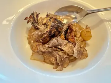 wold mushroom risotto